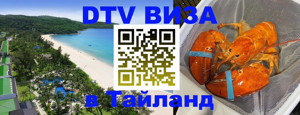 Оформление DTV визы под ключ: стоимость и тарифы, только загранпаспорт - 